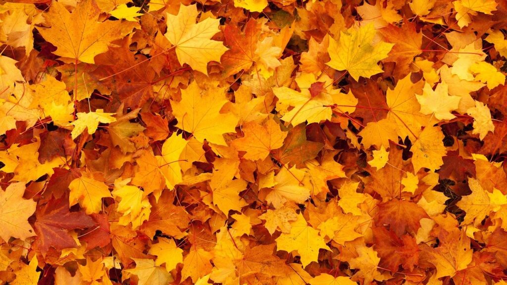 Herbstferien